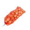 3002 Onion Raschel Mesh Bag