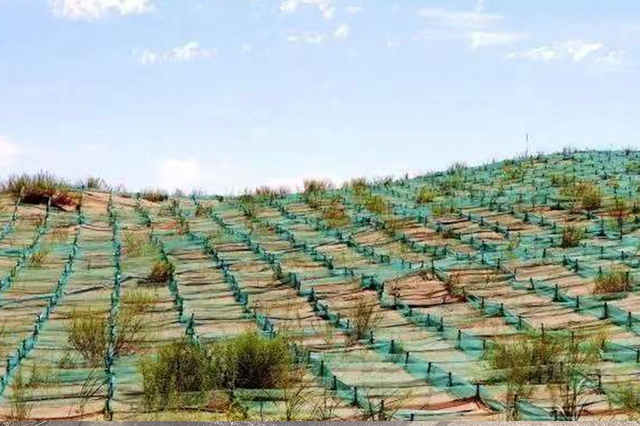 double-loop plastic mesh bag for Desert Control