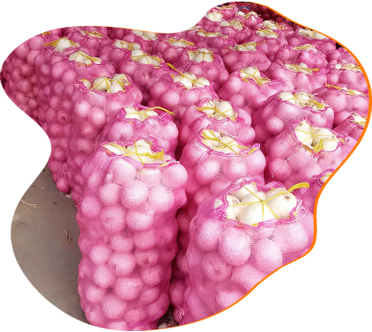 onion plastic mesh bag