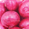 7002 Onion Monofilament Mesh Bag