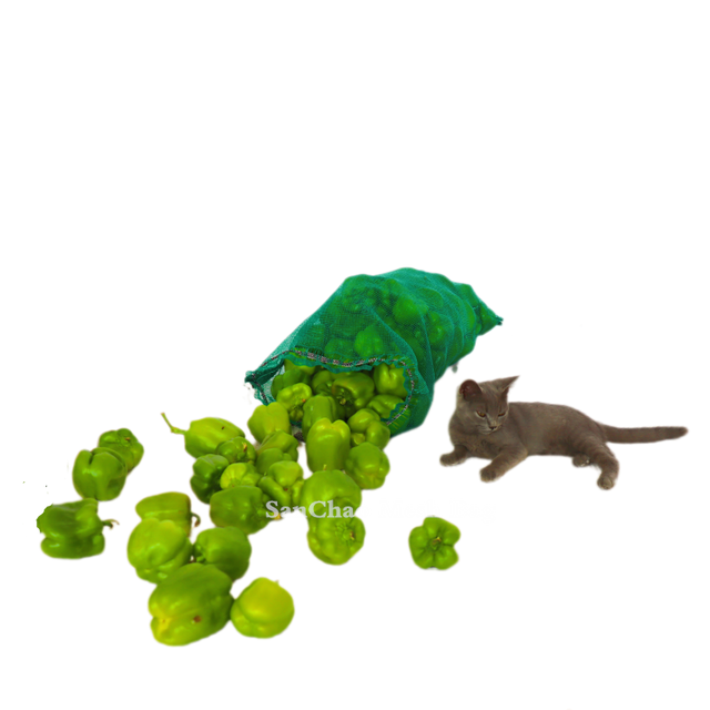 1007 Chili PP leno mesh bag