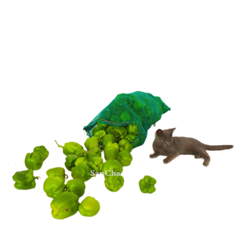 1007 Chili PP leno mesh bag