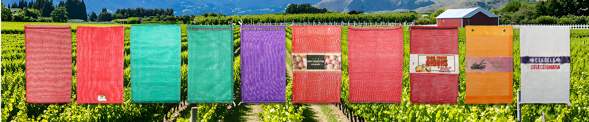 cabbage PE mesh bag application