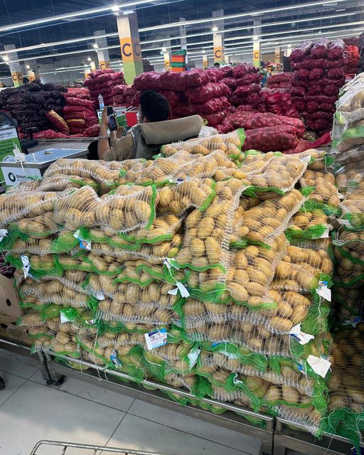 carrot PE mesh bag for Agricultural