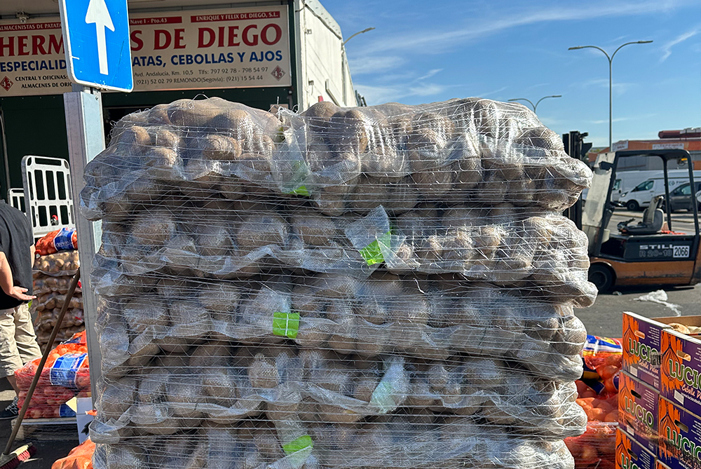 Domestic Vegetable And Fruit Planting Bases