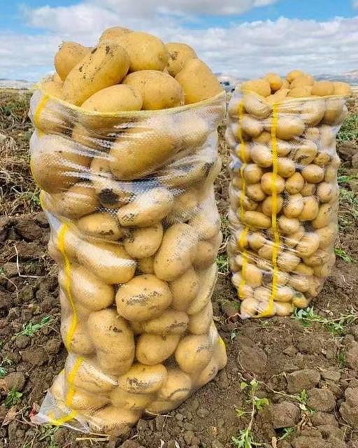 extruded plastic mesh bag for Large Scale Farms