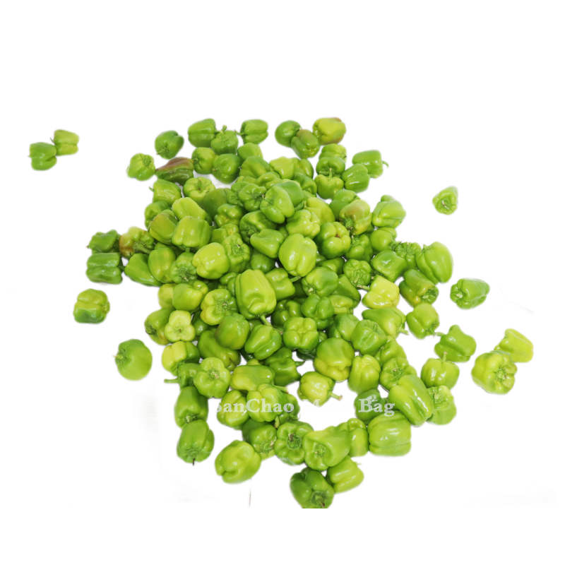 6006 Chili PP Woven Bag