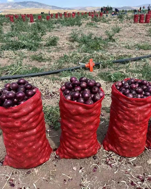 reusable plastic net bag for Large Scale Farms