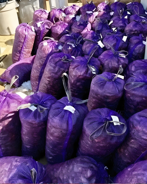 onion pp mesh bag for Aquaculture Industry